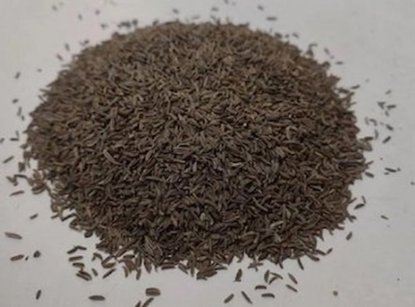 تصویر 3 از قیمت زیره سیاه افغانی  + خرید باور نکردنی